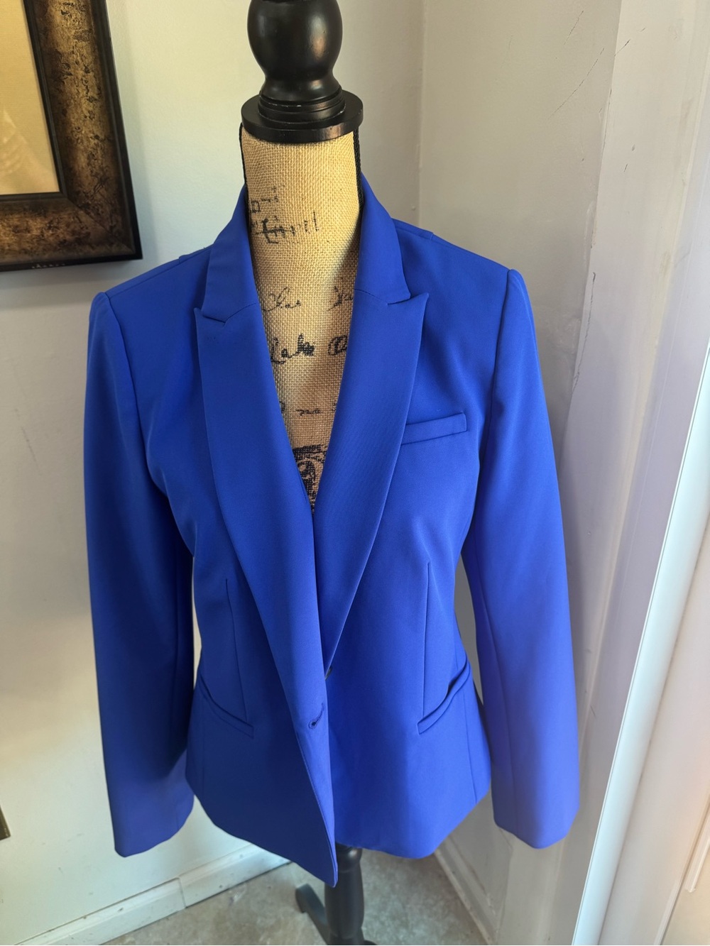 Royal Blue  Banana Republic Women's Tailored Blazer and Pants Suit